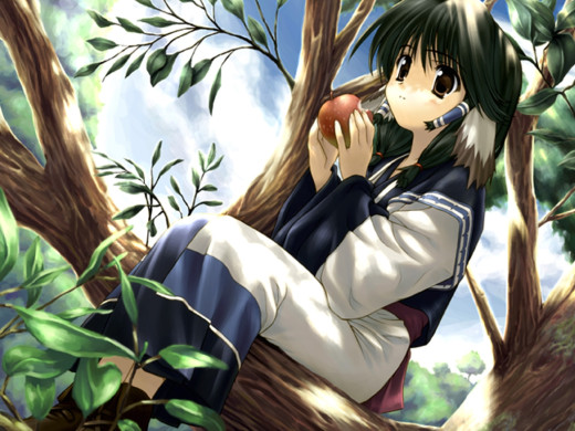 185712 (a): :1024x768